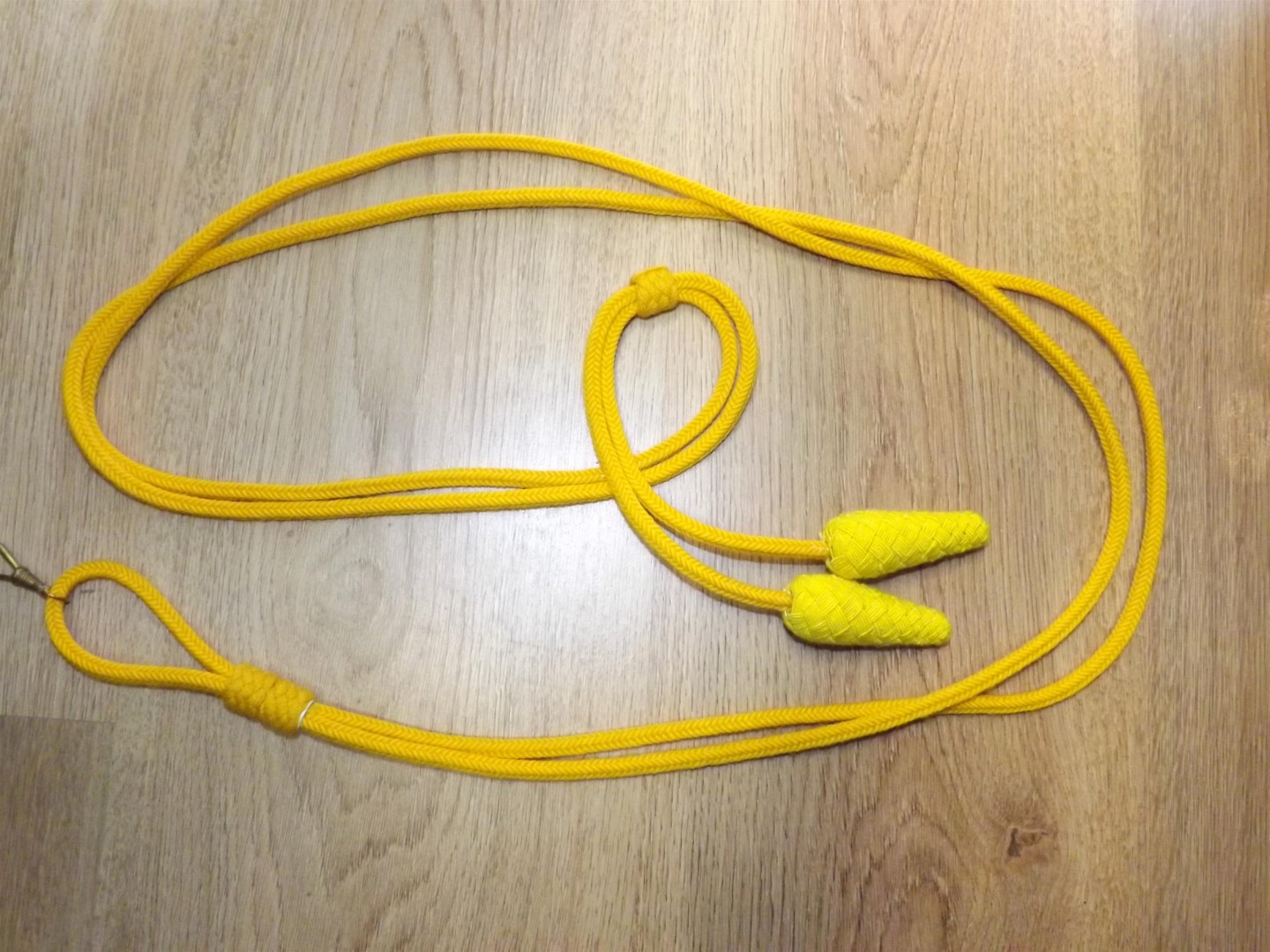 Busby cords RHA 005.JPG
